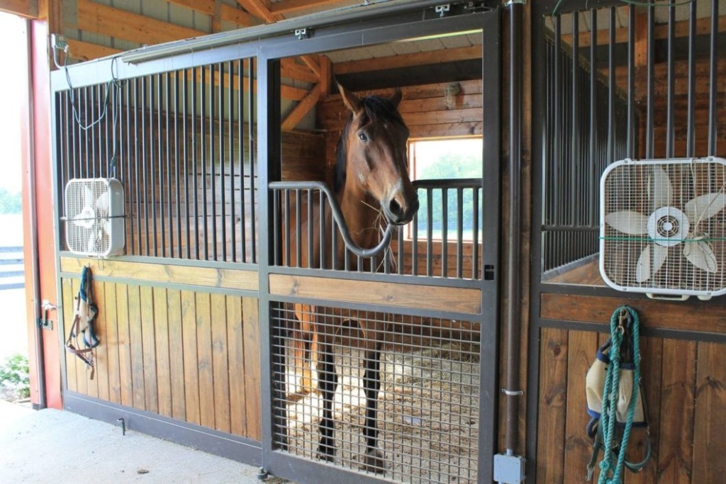 Horse Stalls Post-frame horse barn interior with horse stalls and metal stall fronts.