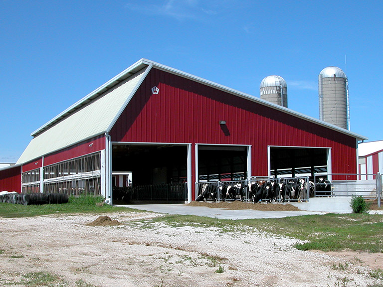 Custom Dairy Barn for Livestock Housing | Walters Buildings Custom dairy barn with open-sided design for cattle housing, ventilation, and livestock comfort
