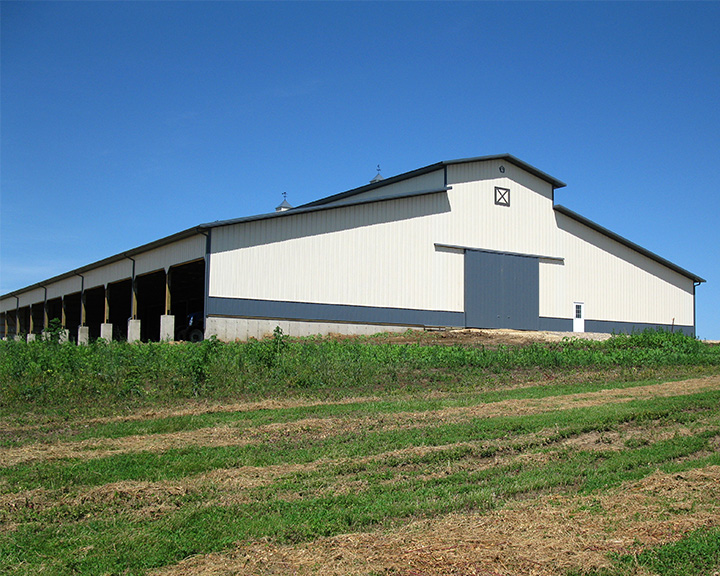 Open-sided cattle barn designed for livestock housing with natural ventilation and herd comfort