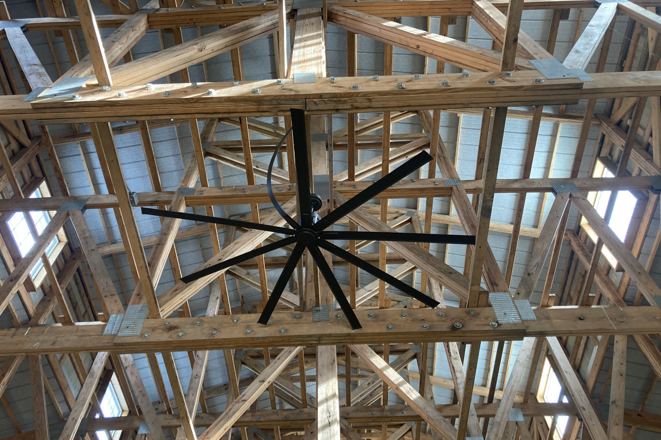 View Looking up through Fan to Cupola
