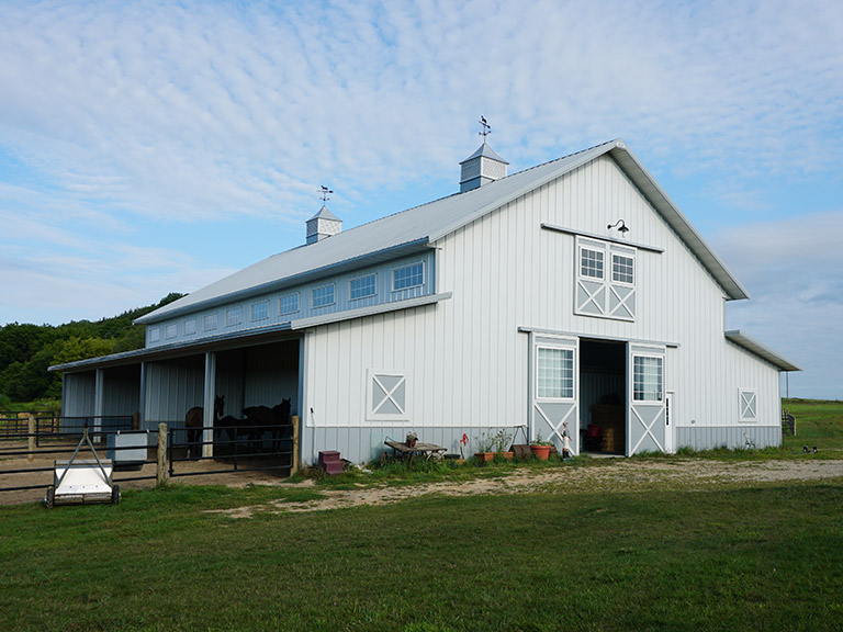Custom Horse Barn and Equestrian Building | Walters Buildings Custom horse barn with steel siding, stall doors, and covered area for livestock shelter