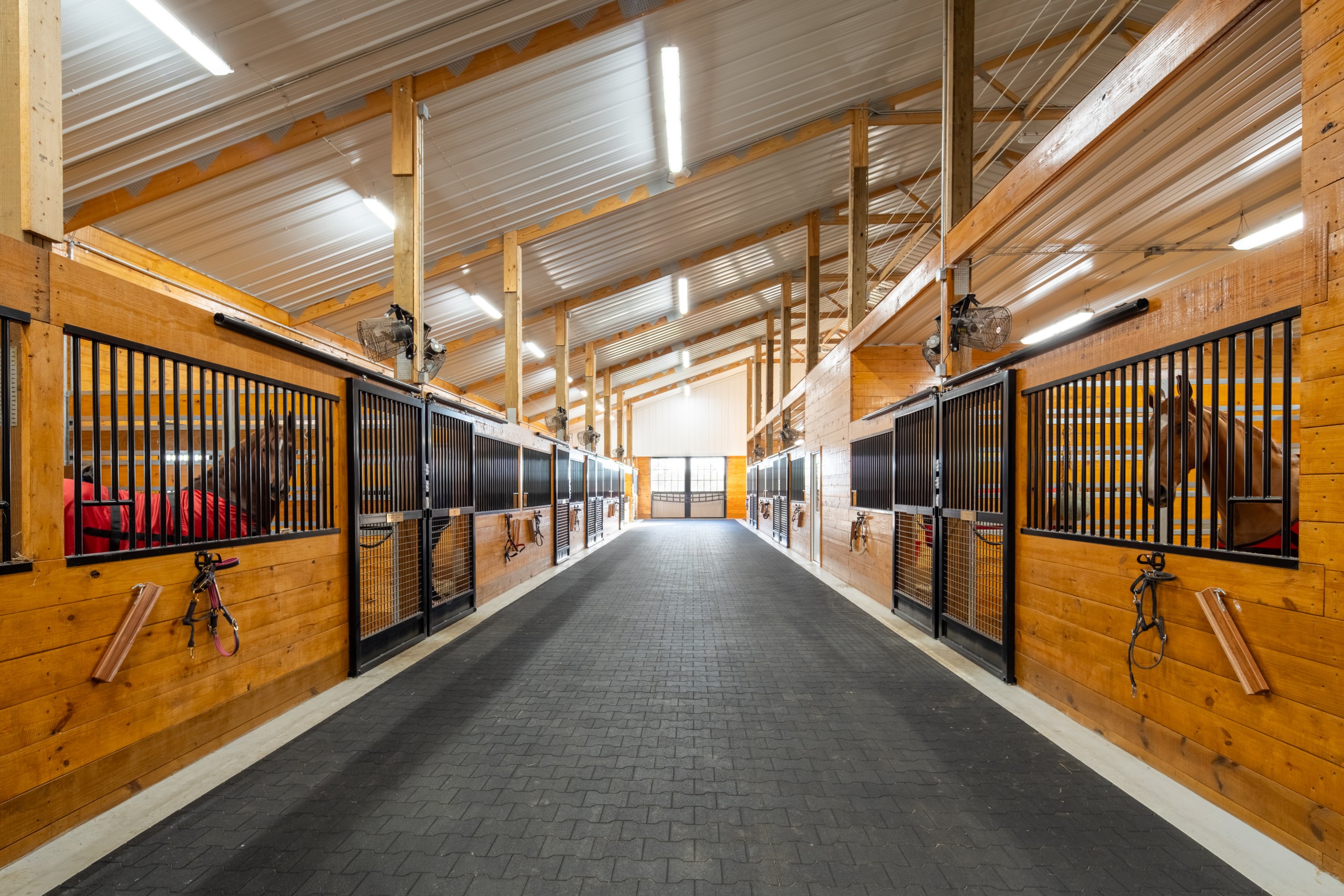 Horses in the Stall Barn at The Settlement Equestrian Center Horse stall barn interior at The Settlement Equestrian Center with horses in premium stalls and a wide center aisle