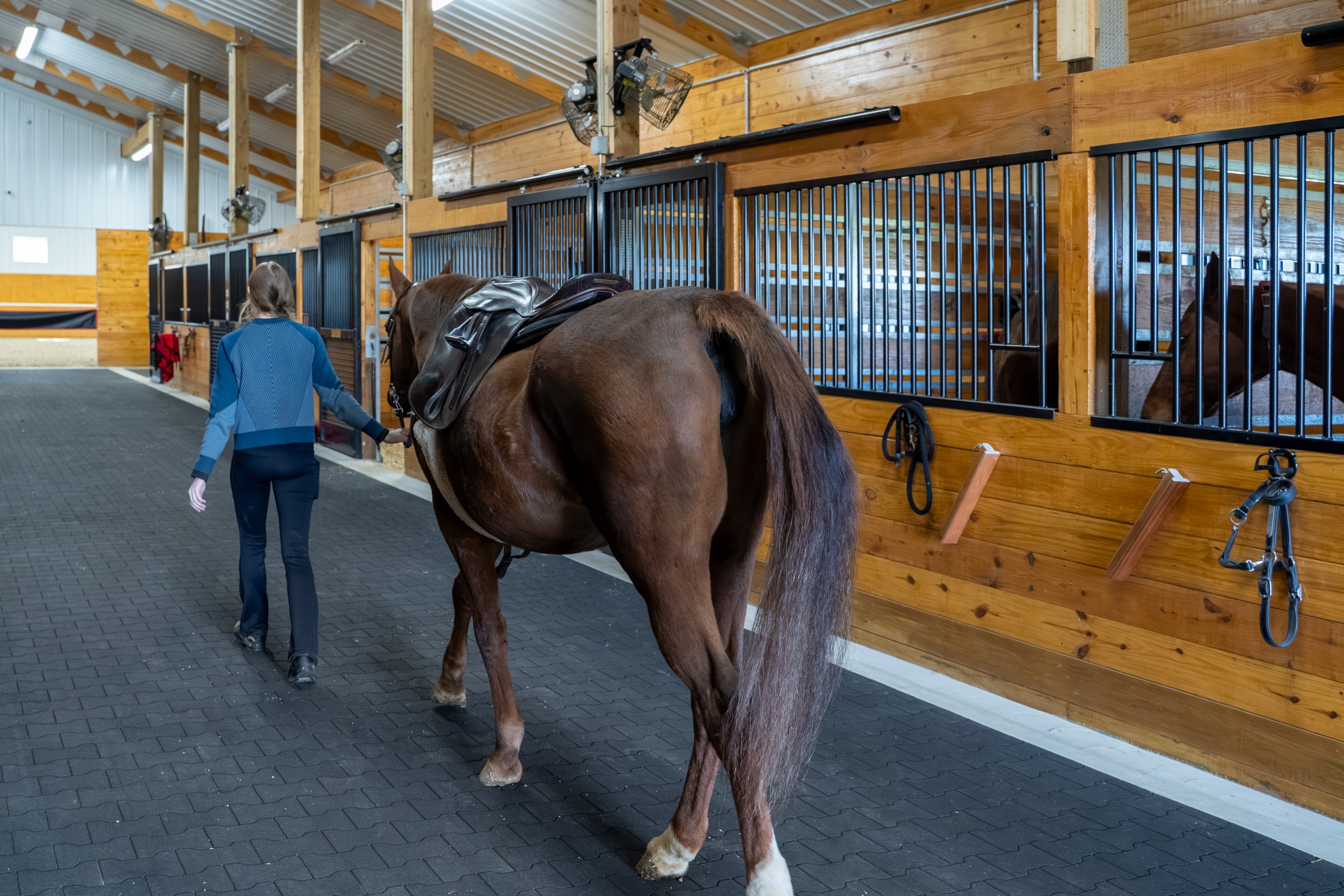 Rider walking a horse through the stall barn aisle at The Settlement Equestrian Center